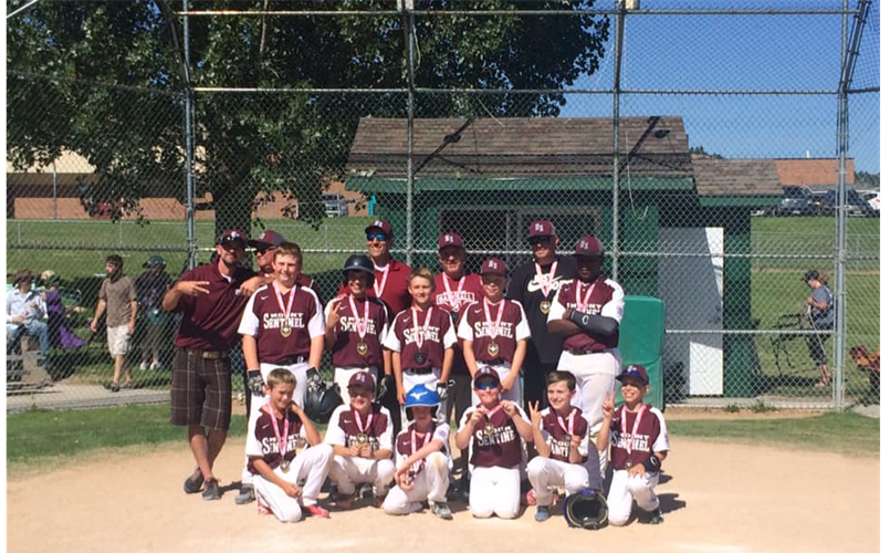 little league all star requirements